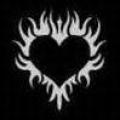 Le coeur